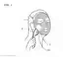 Fig. 02 - Aqueous skin care agent