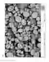 Fig. 07 - Dentifice compositions containing stannous compatible silica particles