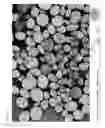 Fig. 08 - Dentifice compositions containing stannous compatible silica particles