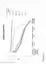 Fig. 13 - Oral care compositions and methods of use