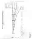 Fig. 18 - Oral care compositions and methods of use