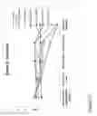 Fig. 24 - Oral care compositions and methods of use