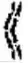 Fig. 02 - Flavoring agent and composition for oral cavity containing same