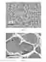 Fig. 02 - Cosmetic compositions