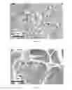 Fig. 04 - Cosmetic compositions