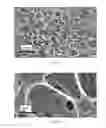 Fig. 06 - Cosmetic compositions