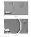 Fig. 07 - Cosmetic compositions