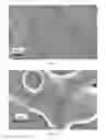 Fig. 08 - Cosmetic compositions