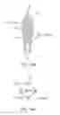 Fig. 34 - Methods for delivering entanercept preparations into a lumen of the intestinal tract using a swallowable drug delivery device