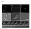 Fig. 04 - NANOBIOCOMPOSITE COMPOSITIONS AND METHODS