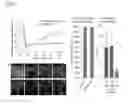 Fig. 06 - NANOBIOCOMPOSITE COMPOSITIONS AND METHODS