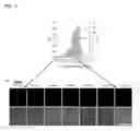 Fig. 11 - NANOBIOCOMPOSITE COMPOSITIONS AND METHODS