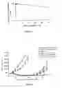 Fig. 04 - Liposomes useful for drug delivery