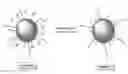 Fig. 01 - Lipid-derived neutral nanoparticles