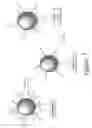Fig. 03 - Lipid-derived neutral nanoparticles