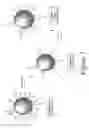 Fig. 03 - Lipid-derived neutral nanoparticles