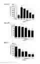 Fig. 02 - METHODS AND COMPOSITIONS FOR TREATING PROLIFERATIVE DISEASES