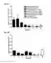 Fig. 05 - METHODS AND COMPOSITIONS FOR TREATING PROLIFERATIVE DISEASES