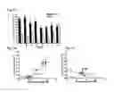 Fig. 06 - METHODS AND COMPOSITIONS FOR TREATING PROLIFERATIVE DISEASES