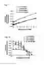 Fig. 08 - METHODS AND COMPOSITIONS FOR TREATING PROLIFERATIVE DISEASES