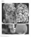 Fig. 08 - PROCESS FOR THE PREPARATION OF POROUS MICROPARTICLES