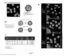 Fig. 03 - MECHANO-SENSITIVE MICROCAPSULES FOR DRUG DELIVERY