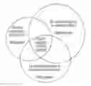 Fig. 01 - Dual assembly nanoparticles