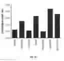 Fig. 04 - Dual assembly nanoparticles