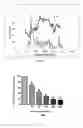 Fig. 04 - Chitosan nanofibers containing bioactive compounds