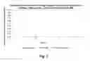 Fig. 04 - TRANSDERMAL DELIVERY FORMULATION