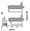 Fig. 06 - Compositions and methods for treating muscular dystrophy and other disorders