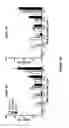 Fig. 07 - Compositions and methods for treating muscular dystrophy and other disorders