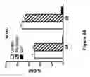 Fig. 08 - Compositions and methods for treating muscular dystrophy and other disorders