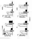 Fig. 09 - Compositions and methods for treating muscular dystrophy and other disorders