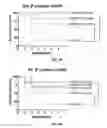 Fig. 04 - Multifunctional cytoprotectant for treatment of pathogenic processes mediated by oxidative stress and toxic electrophiles