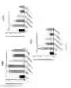 Fig. 07 - COMPOSITIONS AND METHODS FOR THE REDUCTION OR PREVENTION OF HEPATIC STEATOSIS