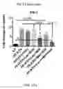Fig. 23 - COMPOSITIONS AND METHODS FOR THE REDUCTION OR PREVENTION OF HEPATIC STEATOSIS