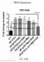 Fig. 24 - COMPOSITIONS AND METHODS FOR THE REDUCTION OR PREVENTION OF HEPATIC STEATOSIS