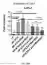 Fig. 26 - COMPOSITIONS AND METHODS FOR THE REDUCTION OR PREVENTION OF HEPATIC STEATOSIS