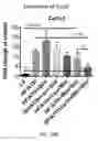 Fig. 27 - COMPOSITIONS AND METHODS FOR THE REDUCTION OR PREVENTION OF HEPATIC STEATOSIS