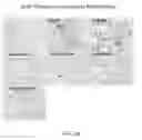 Fig. 29 - COMPOSITIONS AND METHODS FOR THE REDUCTION OR PREVENTION OF HEPATIC STEATOSIS