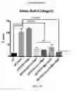 Fig. 30 - COMPOSITIONS AND METHODS FOR THE REDUCTION OR PREVENTION OF HEPATIC STEATOSIS