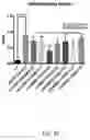 Fig. 32 - COMPOSITIONS AND METHODS FOR THE REDUCTION OR PREVENTION OF HEPATIC STEATOSIS