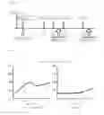 Fig. 02 - AGENT FOR IMPROVING BRAIN FUNCTION AND AGENT FOR PREVENTING OR TREATING COGNITIVE IMPAIRMENT
