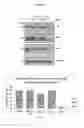 Fig. 06 - Azophenols as ERG oncogene inhibitors