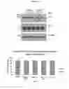 Fig. 08 - Azophenols as ERG oncogene inhibitors