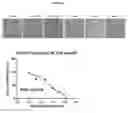 Fig. 27 - Azophenols as ERG oncogene inhibitors