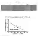 Fig. 33 - Azophenols as ERG oncogene inhibitors