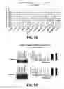 Fig. 12 - Small molecule analogs of the nemo binding peptide