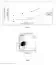 Fig. 03 - Cancer Stem Cell Targeting Compounds